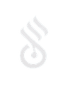 XGenius